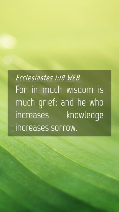 Picture 04 - Ecclesiastes 1:18 WEB Mobile Phone Wallpaper - For in much wisdom is much grief; and he who - Mobile Bible Verse Wallpaper