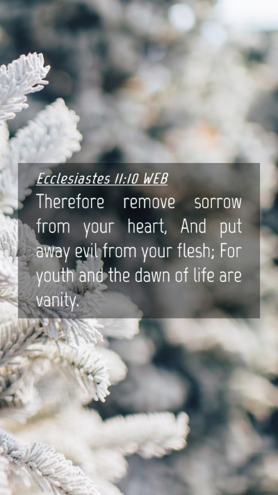 Picture 04 - Ecclesiastes 11:10 WEB Mobile Phone Wallpaper - Therefore remove sorrow from your heart, And put - Mobile Bible Verse Wallpaper