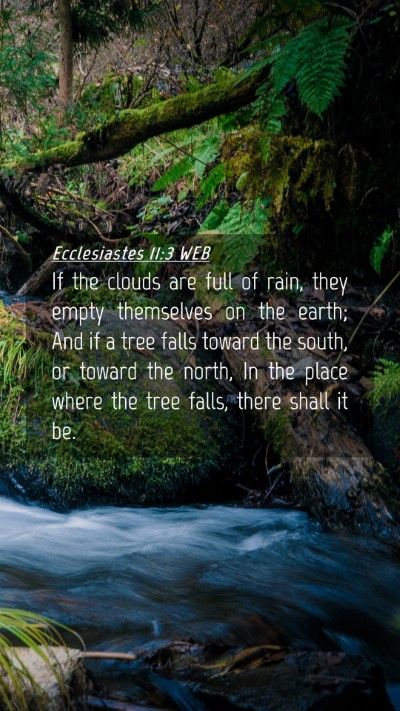 Picture 04 - Ecclesiastes 11:3 WEB Mobile Phone Wallpaper - If the clouds are full of rain, they empty - Mobile Bible Verse Wallpaper