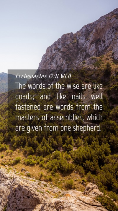 Picture 04 - Ecclesiastes 12:11 WEB Mobile Phone Wallpaper - The words of the wise are like goads; and like - Mobile Bible Verse Wallpaper