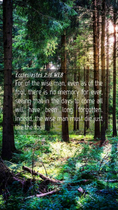 Picture 04 - Ecclesiastes 2:16 WEB Mobile Phone Wallpaper - For of the wise man, even as of the fool, there - Mobile Bible Verse Wallpaper