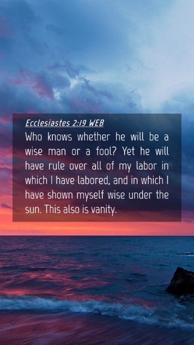 Picture 04 - Ecclesiastes 2:19 WEB Mobile Phone Wallpaper - Who knows whether he will be a wise man or a - Mobile Bible Verse Wallpaper