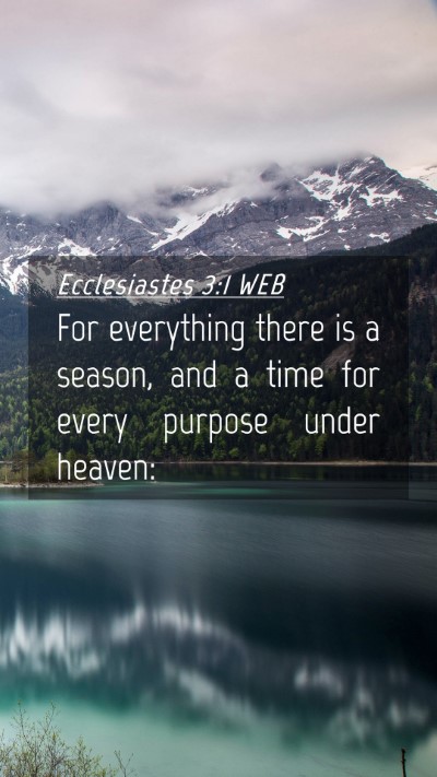 Picture 04 - Ecclesiastes 3:1 WEB Mobile Phone Wallpaper - For everything there is a season, and a time for - Mobile Bible Verse Wallpaper
