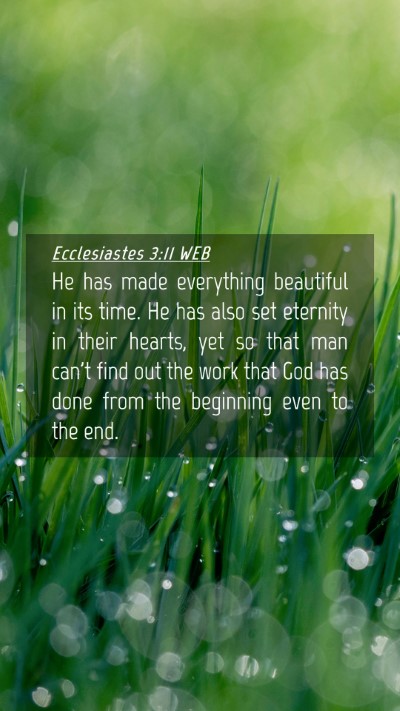 Picture 04 - Ecclesiastes 3:11 WEB Mobile Phone Wallpaper - He has made everything beautiful in its time. He - Mobile Bible Verse Wallpaper