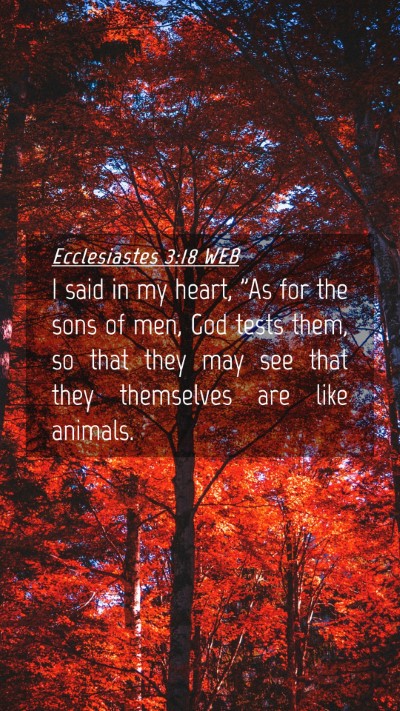 Picture 04 - Ecclesiastes 3:18 WEB Mobile Phone Wallpaper - I said in my heart, 