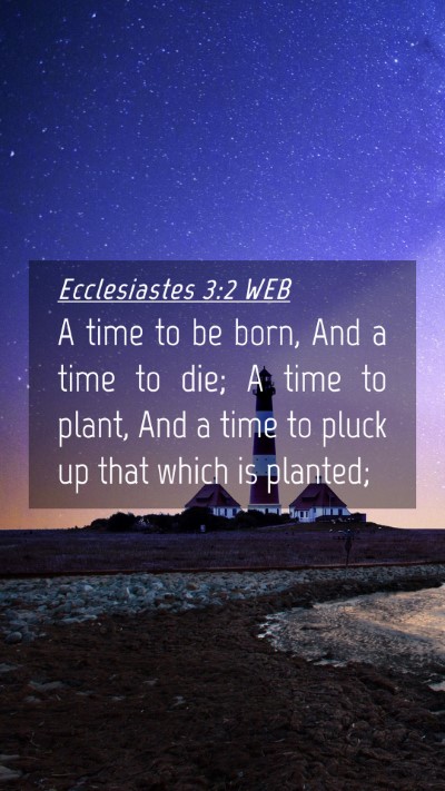 Picture 04 - Ecclesiastes 3:2 WEB Mobile Phone Wallpaper - A time to be born, And a time to die; A time to - Mobile Bible Verse Wallpaper