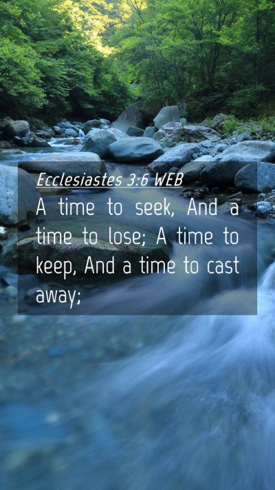 Picture 04 - Ecclesiastes 3:6 WEB Mobile Phone Wallpaper - A time to seek, And a time to lose; A time to - Mobile Bible Verse Wallpaper