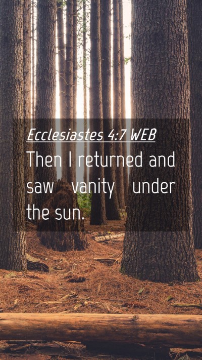 Picture 04 - Ecclesiastes 4:7 WEB Mobile Phone Wallpaper - Then I returned and saw vanity under the - Mobile Bible Verse Wallpaper