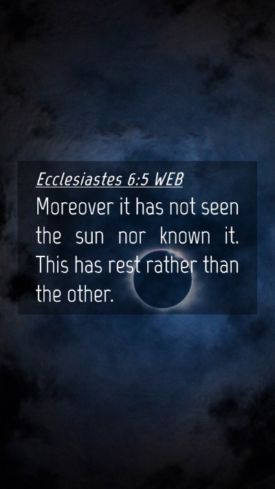Picture 04 - Ecclesiastes 6:5 WEB Mobile Phone Wallpaper - Moreover it has not seen the sun nor known it. - Mobile Bible Verse Wallpaper