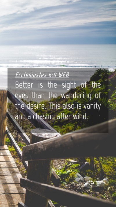 Picture 04 - Ecclesiastes 6:9 WEB Mobile Phone Wallpaper - Better is the sight of the eyes than the - Mobile Bible Verse Wallpaper