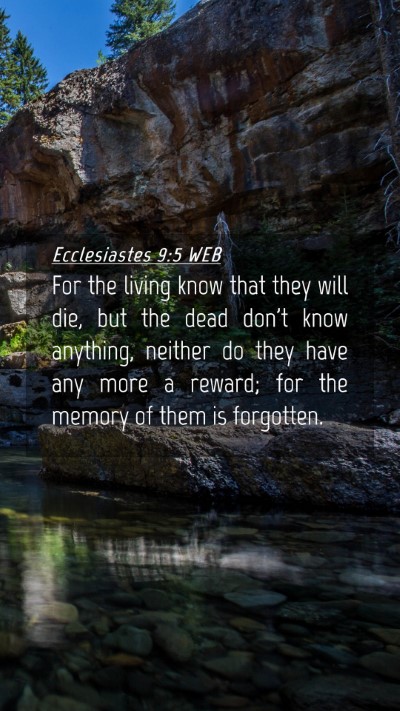 Picture 04 - Ecclesiastes 9:5 WEB Mobile Phone Wallpaper - For the living know that they will die, but the - Mobile Bible Verse Wallpaper