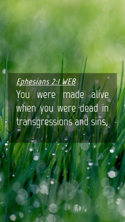 Picture 04 - Ephesians 2:1 WEB Mobile Phone Wallpaper - You were made alive when you were dead in - Mobile Bible Verse Wallpaper