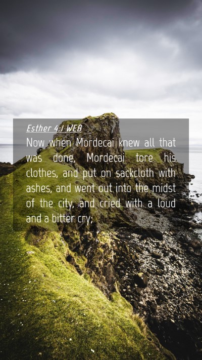 Picture 04 - Esther 4:1 WEB Mobile Phone Wallpaper - Now when Mordecai knew all that was done, - Mobile Bible Verse Wallpaper