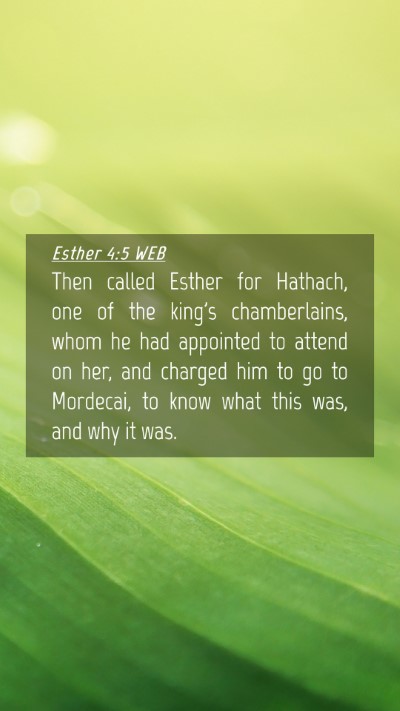 Picture 04 - Esther 4:5 WEB Mobile Phone Wallpaper - Then called Esther for Hathach, one of the king's - Mobile Bible Verse Wallpaper