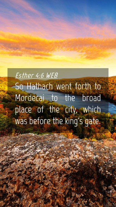 Picture 04 - Esther 4:6 WEB Mobile Phone Wallpaper - So Hathach went forth to Mordecai to the broad - Mobile Bible Verse Wallpaper