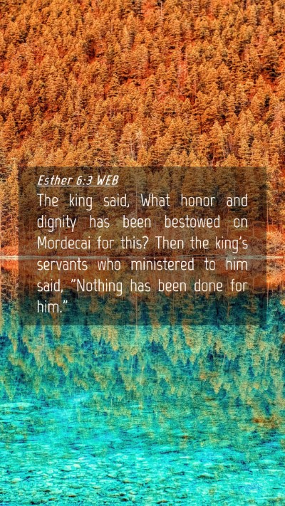 Picture 04 - Esther 6:3 WEB Mobile Phone Wallpaper - The king said, What honor and dignity has been - Mobile Bible Verse Wallpaper