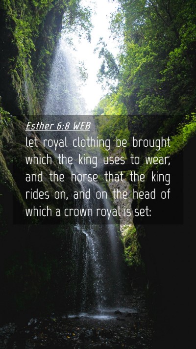 Picture 04 - Esther 6:8 WEB Mobile Phone Wallpaper - let royal clothing be brought which the king uses - Mobile Bible Verse Wallpaper