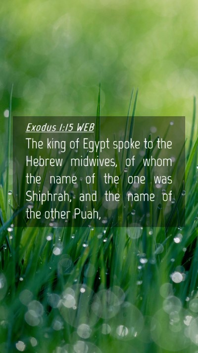 Picture 04 - Exodus 1:15 WEB Mobile Phone Wallpaper - The king of Egypt spoke to the Hebrew midwives, - Mobile Bible Verse Wallpaper