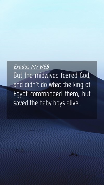 Picture 04 - Exodus 1:17 WEB Mobile Phone Wallpaper - But the midwives feared God, and didn't do what - Mobile Bible Verse Wallpaper