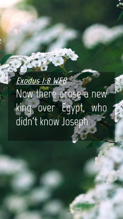 Picture 04 - Exodus 1:8 WEB Mobile Phone Wallpaper - Now there arose a new king over Egypt, who didn't - Mobile Bible Verse Wallpaper