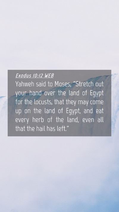 Picture 04 - Exodus 10:12 WEB Mobile Phone Wallpaper - Yahweh said to Moses, 