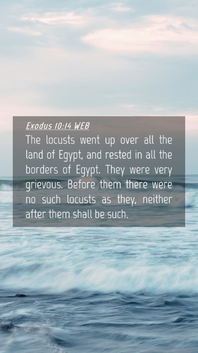 Picture 04 - Exodus 10:14 WEB Mobile Phone Wallpaper - The locusts went up over all the land of Egypt, - Mobile Bible Verse Wallpaper