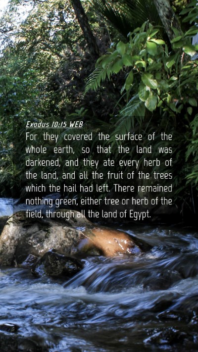 Picture 04 - Exodus 10:15 WEB Mobile Phone Wallpaper - For they covered the surface of the whole earth, - Mobile Bible Verse Wallpaper