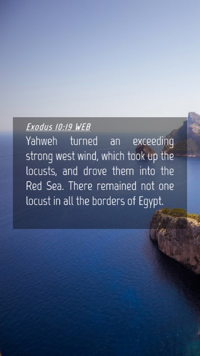 Picture 04 - Exodus 10:19 WEB Mobile Phone Wallpaper - Yahweh turned an exceeding strong west wind, - Mobile Bible Verse Wallpaper