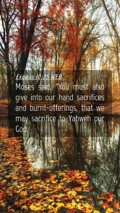 Picture 04 - Exodus 10:25 WEB Mobile Phone Wallpaper - Moses said, 