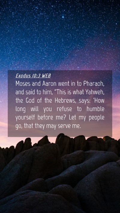Picture 04 - Exodus 10:3 WEB Mobile Phone Wallpaper - Moses and Aaron went in to Pharaoh, and said to - Mobile Bible Verse Wallpaper