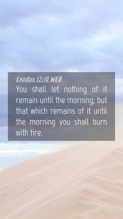 Picture 04 - Exodus 12:10 WEB Mobile Phone Wallpaper - You shall let nothing of it remain until the - Mobile Bible Verse Wallpaper
