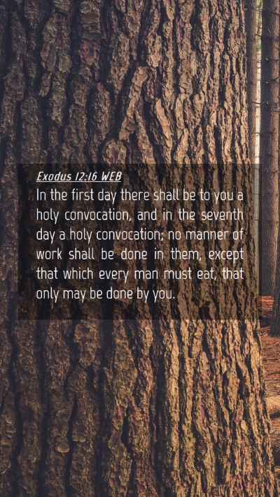 Picture 04 - Exodus 12:16 WEB Mobile Phone Wallpaper - In the first day there shall be to you a holy - Mobile Bible Verse Wallpaper