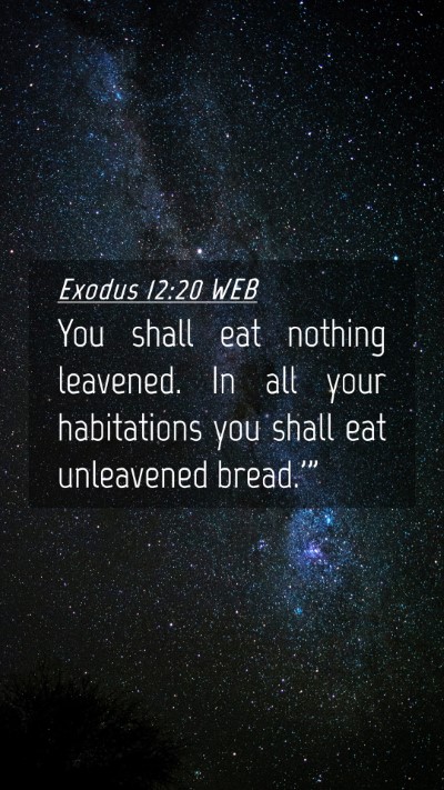 Picture 04 - Exodus 12:20 WEB Mobile Phone Wallpaper - You shall eat nothing leavened. In all your - Mobile Bible Verse Wallpaper