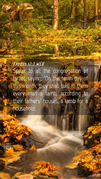 Picture 04 - Exodus 12:3 WEB Mobile Phone Wallpaper - Speak to all the congregation of Israel, saying, - Mobile Bible Verse Wallpaper