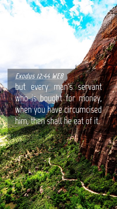 Picture 04 - Exodus 12:44 WEB Mobile Phone Wallpaper - but every man's servant who is bought for money, - Mobile Bible Verse Wallpaper