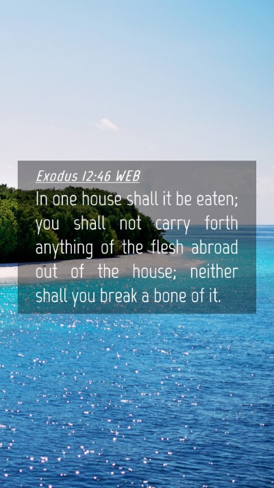 Picture 04 - Exodus 12:46 WEB Mobile Phone Wallpaper - In one house shall it be eaten; you shall not - Mobile Bible Verse Wallpaper