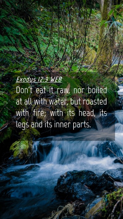 Picture 04 - Exodus 12:9 WEB Mobile Phone Wallpaper - Don't eat it raw, nor boiled at all with water, - Mobile Bible Verse Wallpaper