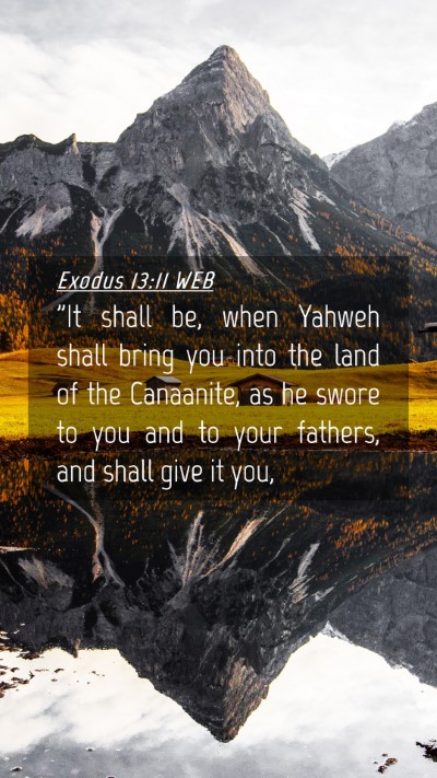 Picture 04 - Exodus 13:11 WEB Mobile Phone Wallpaper - 