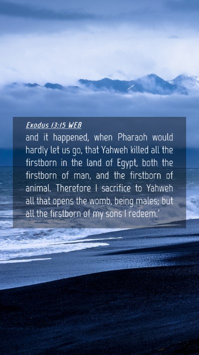 Picture 04 - Exodus 13:15 WEB Mobile Phone Wallpaper - and it happened, when Pharaoh would hardly let us - Mobile Bible Verse Wallpaper