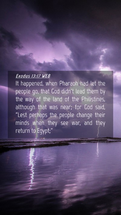 Picture 04 - Exodus 13:17 WEB Mobile Phone Wallpaper - It happened, when Pharaoh had let the people go, - Mobile Bible Verse Wallpaper