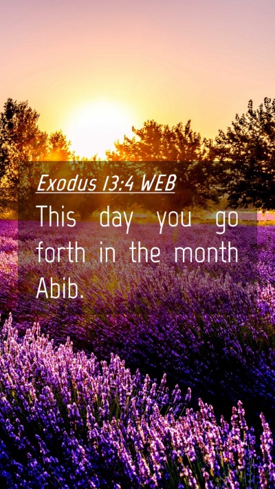 Picture 04 - Exodus 13:4 WEB Mobile Phone Wallpaper - This day you go forth in the month - Mobile Bible Verse Wallpaper