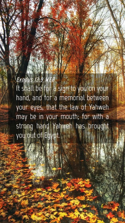 Picture 04 - Exodus 13:9 WEB Mobile Phone Wallpaper - It shall be for a sign to you on your hand, and - Mobile Bible Verse Wallpaper