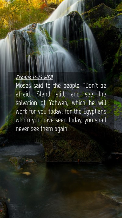 Picture 04 - Exodus 14:13 WEB Mobile Phone Wallpaper - Moses said to the people, 
