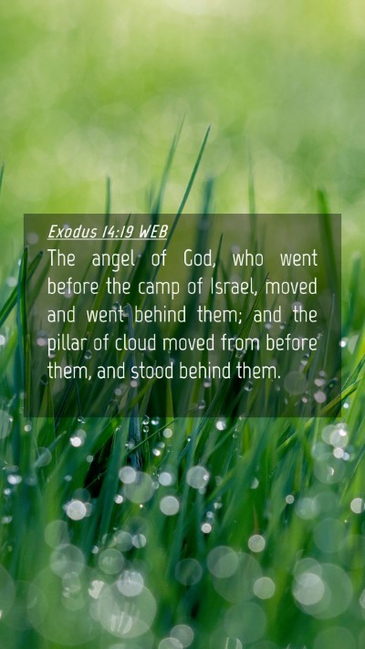 Picture 04 - Exodus 14:19 WEB Mobile Phone Wallpaper - The angel of God, who went before the camp of - Mobile Bible Verse Wallpaper