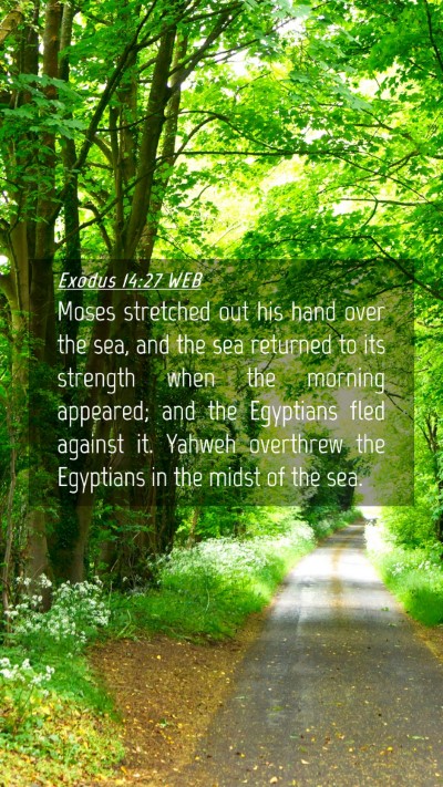 Picture 04 - Exodus 14:27 WEB Mobile Phone Wallpaper - Moses stretched out his hand over the sea, and - Mobile Bible Verse Wallpaper