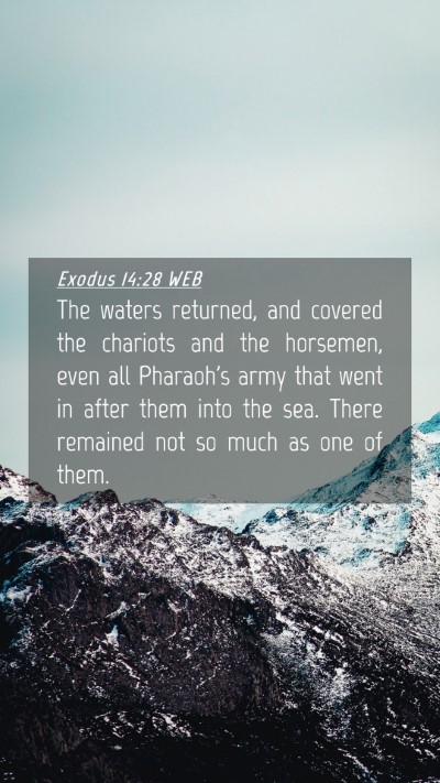 Picture 04 - Exodus 14:28 WEB Mobile Phone Wallpaper - The waters returned, and covered the chariots and - Mobile Bible Verse Wallpaper