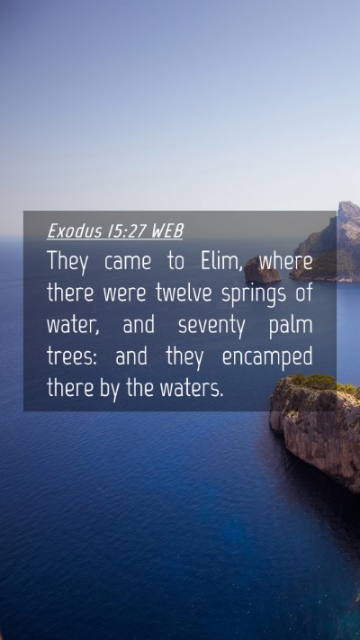Picture 04 - Exodus 15:27 WEB Mobile Phone Wallpaper - They came to Elim, where there were twelve - Mobile Bible Verse Wallpaper