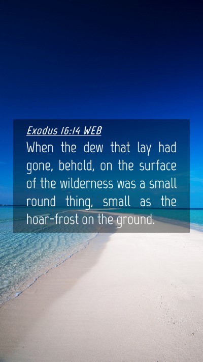 Picture 04 - Exodus 16:14 WEB Mobile Phone Wallpaper - When the dew that lay had gone, behold, on the - Mobile Bible Verse Wallpaper