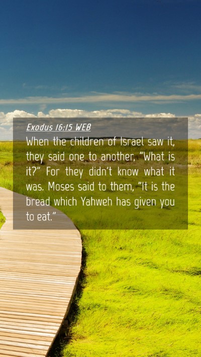 Picture 04 - Exodus 16:15 WEB Mobile Phone Wallpaper - When the children of Israel saw it, they said one - Mobile Bible Verse Wallpaper