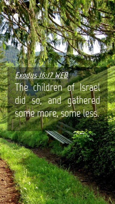 Picture 04 - Exodus 16:17 WEB Mobile Phone Wallpaper - The children of Israel did so, and gathered some - Mobile Bible Verse Wallpaper